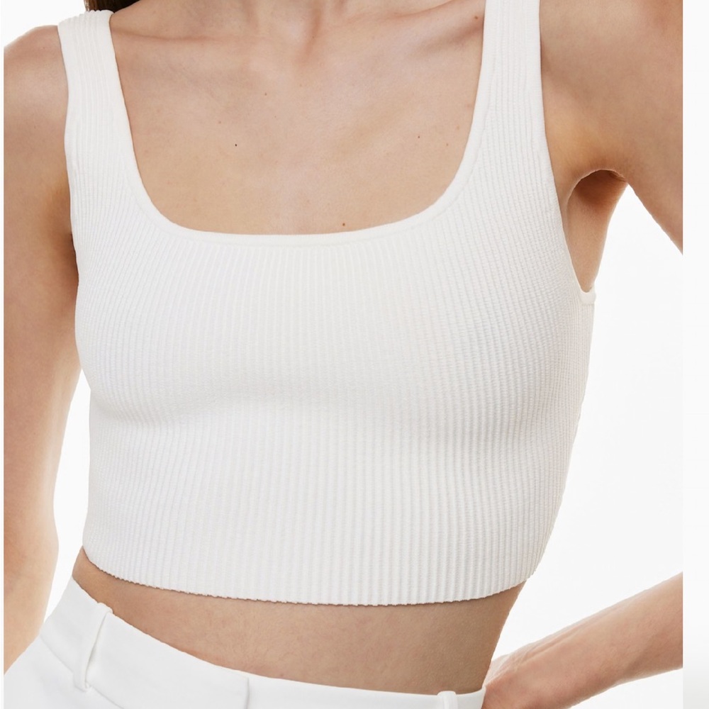 Babaton Aritzia Sculpt Knit Square Neck Tank